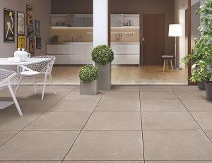 Plants on floor tiles